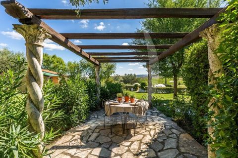 Farm hus i Scansano, Grosseto, Scansano - € 630.000 | Ref: a1190rc28342 - foto 7
