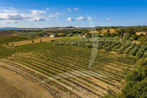 Farm hus i Scansano, Grosseto, Scansano - € 630.000 | Ref: a1190rc28342 - foto 9