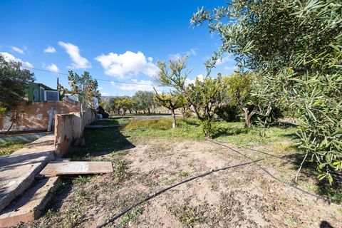 Villa i Monovar, Alicante, Monovar - € 379.000 | Ref: 03b63244-aaa2-4db2-b - foto 42