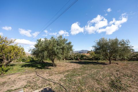 Villa i Monovar, Alicante, Monovar - € 379.000 | Ref: 03b63244-aaa2-4db2-b - foto 43