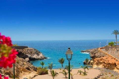 Erhvervsejendom i Adeje, Tenerife, Adeje - € 499.000 | Ref: 0067-04572/2961 - foto 8