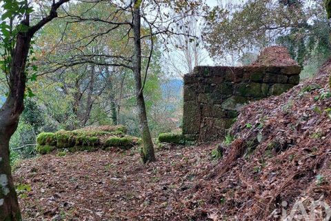 Terra a Cinfaes, Viseu, Cinfaes - € 279.000 | Ref: 754221 - foto 2