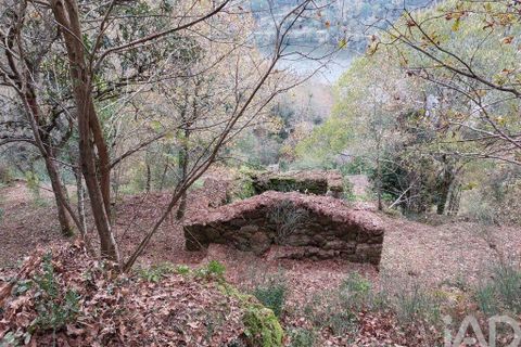 Terra a Cinfaes, Viseu, Cinfaes - € 279.000 | Ref: 754221 - foto 3