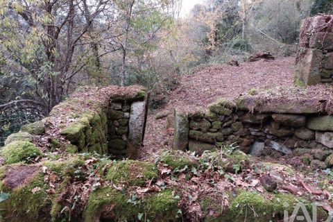 Terra a Cinfaes, Viseu, Cinfaes - € 279.000 | Ref: 754221 - foto 4