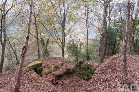 Terra a Cinfaes, Viseu, Cinfaes - € 279.000 | Ref: 754221 - foto 6