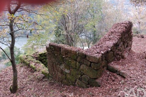 Terra a Cinfaes, Viseu, Cinfaes - € 279.000 | Ref: 754221 - foto 10