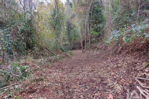 Terra a Cinfaes, Viseu, Cinfaes - € 279.000 | Ref: 754221 - foto 12