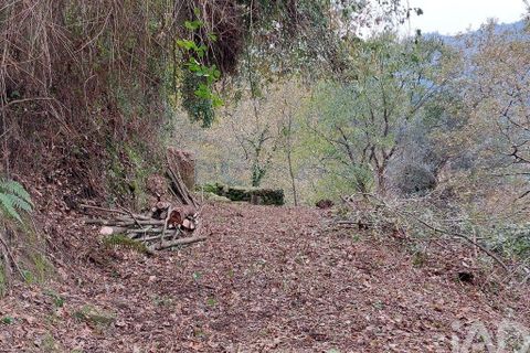 Terra a Cinfaes, Viseu, Cinfaes - € 279.000 | Ref: 754221 - foto 13