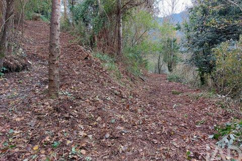 Terra a Cinfaes, Viseu, Cinfaes - € 279.000 | Ref: 754221 - foto 14
