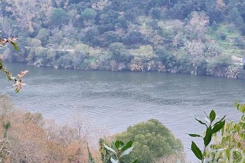 Terra a Cinfaes, Viseu, Cinfaes - € 279.000 | Ref: 754221 - foto 16