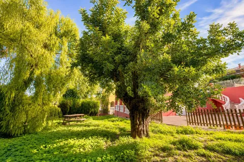 Villa i Montroy, Valencia, Montroy - € 450.000 | Ref: RP0116/8469 - foto 47