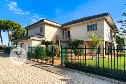 Villa i Chiva, Valencia, Chiva - € 500.000 | Ref: EXP12073/8930 - foto 6