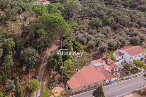 Ruïna a Monchique, Faro, Monchique - € 195.000 | Ref: V1036 - foto 10