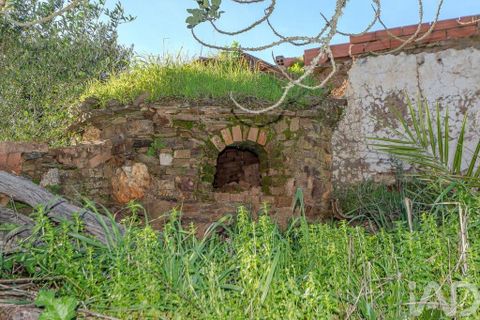 Erhvervsejendom i Silves, Faro, Silves - € 140.000 | Ref: 755162 - foto 4