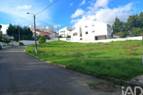 Tomt i Leiria, Leiria, Leiria - € 74 000 | Ref: 47754 - foto 9