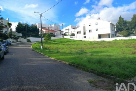 Tomt i Leiria, Leiria, Leiria - € 74 000 | Ref: 47754 - foto 11