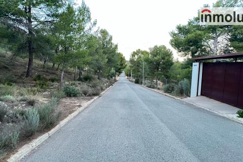 Finca a Tibi, Alicante, Tibi - € 120.000 | Ref: 5402 - foto 5
