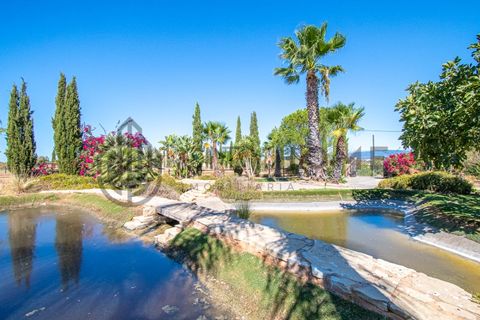 Villa i Lagoa, Faro, Lagoa - € 1.400.000 | Ref: City-25-90C - foto 46
