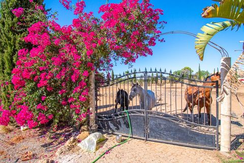 Villa i Lagoa, Faro, Lagoa - € 1.400.000 | Ref: City-25-90C - foto 47