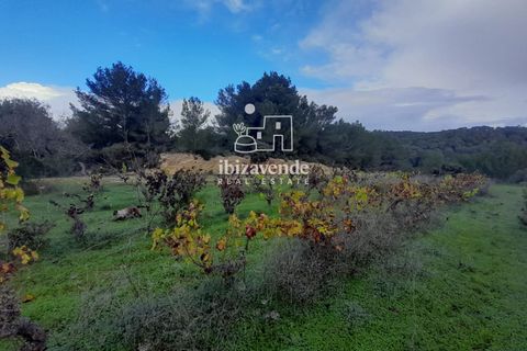 Villa i Santa Eulalia Del Rio, Ibiza, Santa Eulalia Del Rio - € 890.000 | Ref: 4466 - foto 3