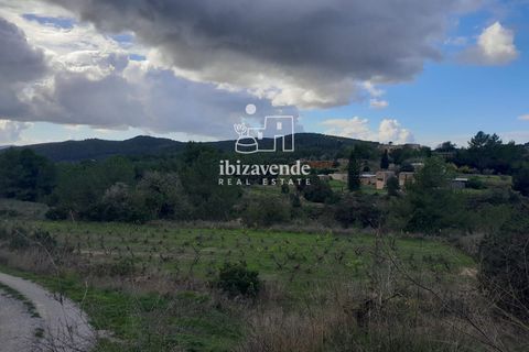 Villa i Santa Eulalia Del Rio, Ibiza, Santa Eulalia Del Rio - € 890.000 | Ref: 4466 - foto 4