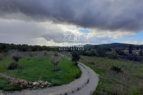 Villa i Santa Eulalia Del Rio, Ibiza, Santa Eulalia Del Rio - € 890.000 | Ref: 4466 - foto 6