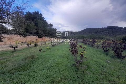 Villa i Santa Eulalia Del Rio, Ibiza, Santa Eulalia Del Rio - € 890.000 | Ref: 4466 - foto 7