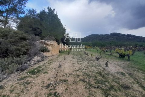 Villa i Santa Eulalia Del Rio, Ibiza, Santa Eulalia Del Rio - € 890.000 | Ref: 4466 - foto 11