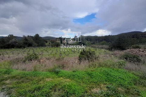 Villa i Santa Eulalia Del Rio, Ibiza, Santa Eulalia Del Rio - € 890.000 | Ref: 4466 - foto 16