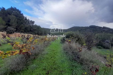 Villa i Santa Eulalia Del Rio, Ibiza, Santa Eulalia Del Rio - € 890.000 | Ref: 4466 - foto 19