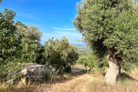 Landejendom i Monopoli, Bari, Monopoli - € 75.000 | Ref: R 323 - foto 8
