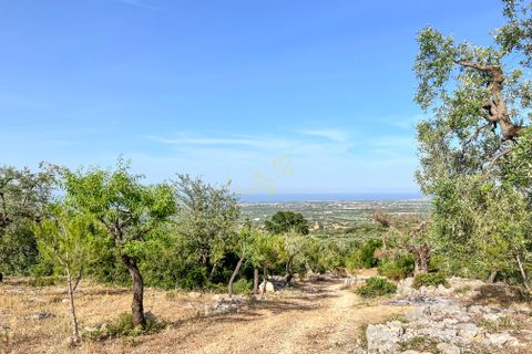 Landejendom i Monopoli, Bari, Monopoli - € 75.000 | Ref: R 323 - foto 13