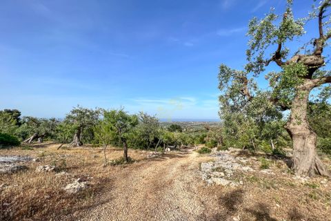 Landejendom i Monopoli, Bari, Monopoli - € 75.000 | Ref: R 323 - foto 14