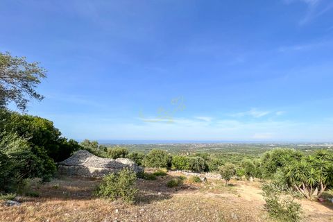 Landejendom i Monopoli, Bari, Monopoli - € 75.000 | Ref: R 323 - foto 17
