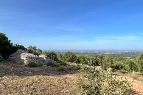 Landejendom i Monopoli, Bari, Monopoli - € 75.000 | Ref: R 323 - foto 21