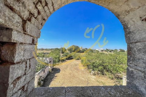 Landejendom i Alberobello, Bari, Alberobello - € 470.000 | Ref: M 18 - foto 23