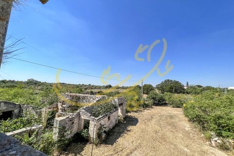 Landejendom i Alberobello, Bari, Alberobello - € 470.000 | Ref: M 18 - foto 24