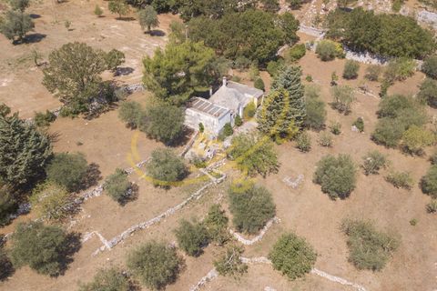 Landejendom i Alberobello, Bari, Alberobello - € 90.000 | Ref: R 331 - foto 3