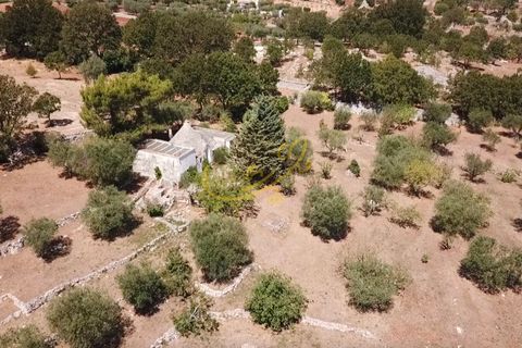 Landejendom i Alberobello, Bari, Alberobello - € 90.000 | Ref: R 331 - foto 11