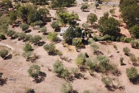 Landejendom i Alberobello, Bari, Alberobello - € 90.000 | Ref: R 331 - foto 12