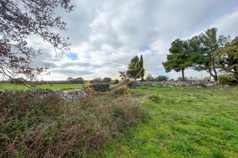 Landejendom i Noci, Bari, Noci - € 110.000 | Ref: R 355 - foto 8