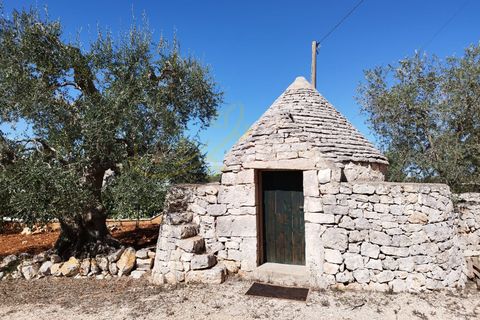 Villa i Ostuni, Brindisi, Ostuni - € 630.000 | Ref: R 381 - foto 14