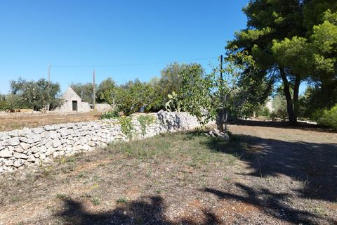 Villa i Ostuni, Brindisi, Ostuni - € 630.000 | Ref: R 381 - foto 15
