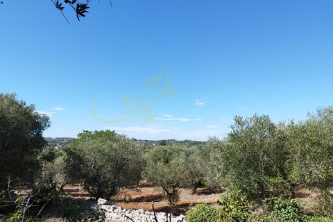 Villa i Ostuni, Brindisi, Ostuni - € 630.000 | Ref: R 381 - foto 18