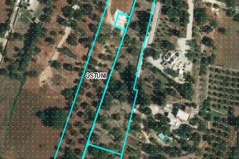 Villa i Ostuni, Brindisi, Ostuni - € 630.000 | Ref: R 381 - foto 19