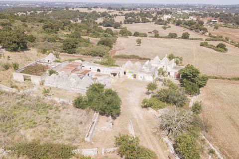 Landejendom i Monopoli, Bari, Monopoli - € 750.000 | Ref: M 20 - foto 2
