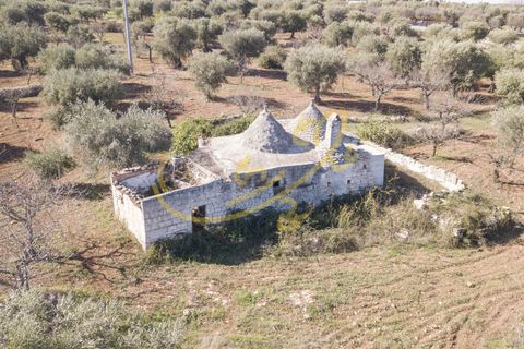 Masia a Monopoli, Bari, Monopoli - € 130.000 | Ref: R 401 - foto 21