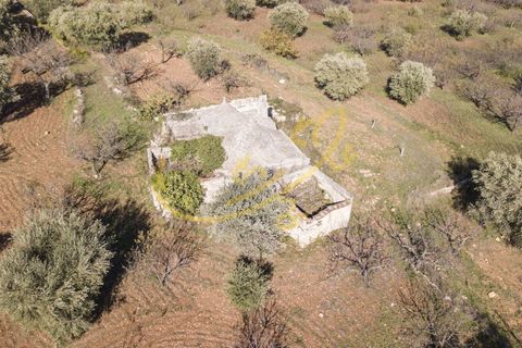 Masia a Monopoli, Bari, Monopoli - € 130.000 | Ref: R 401 - foto 19
