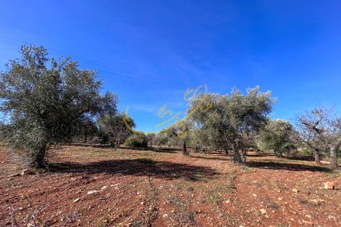 Masia a Monopoli, Bari, Monopoli - € 130.000 | Ref: R 401 - foto 32