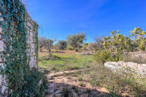 Masia a Monopoli, Bari, Monopoli - € 130.000 | Ref: R 401 - foto 34